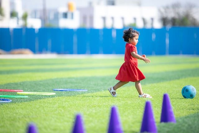 黄蜂也有其 黄蜂也有其